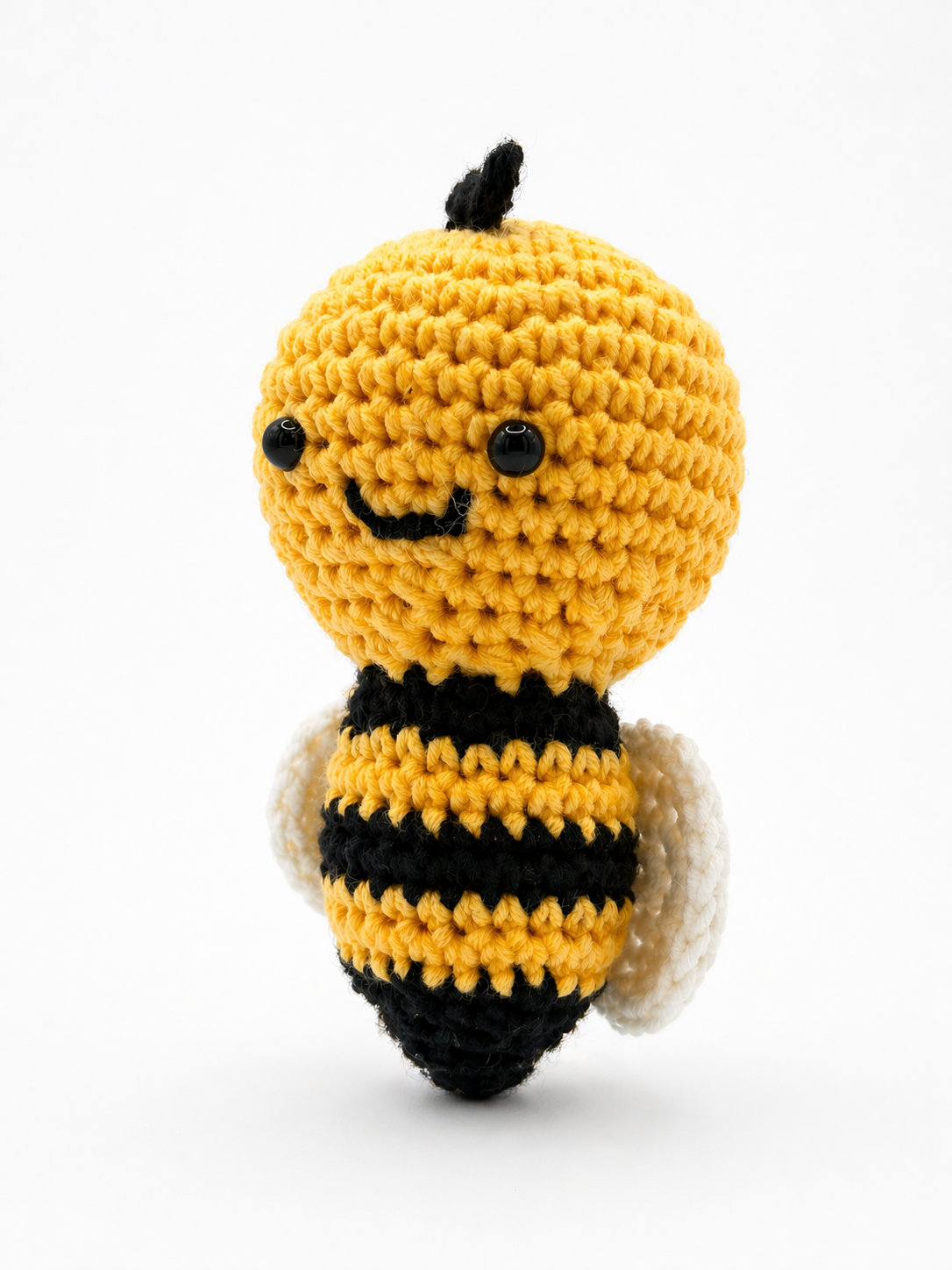 Honey Bee or Bumble Bee